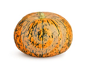 Small round orange and green pumpkin with shadow isolated on white background. Profile view