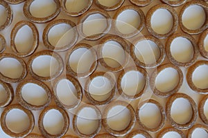 Small round shaped Wheat Fryums isolated on the white background