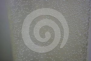 Small, round, spherical bubbles covered the surface of a plastic container of water. Mysterious and unusual light background.