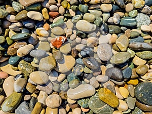 Small round stones background. Stone texture. Rough surface of small pebble stone.Small smooth pebbles, translucent