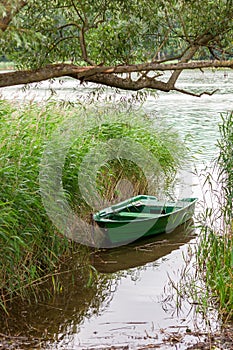 A small rowing boat in reed.