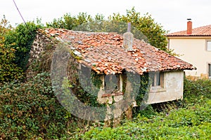 Small rural house covered with green ivy in La Espina, Asturias photo