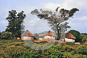 Xhosa huts outskirts Port St. Johns, Transkei photo