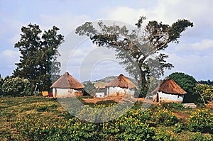 Xhosa huts outskirts Port St. Johns, Transkei