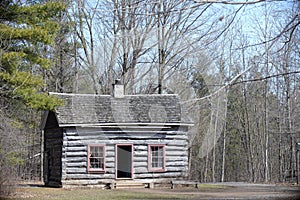 Small rustic wood cottage among pine trees in Ontario forest