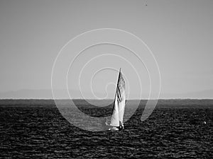 Small sail boat on a calm sea B/W