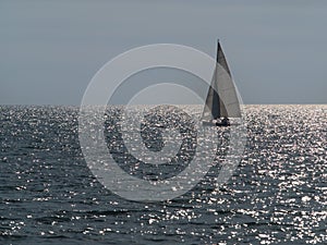 Small sailboat sailing in a sparkling sea