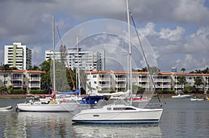 Small Sailboats at Anchor