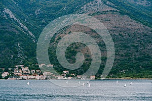 Small sailboats in the Bay of Kotor, against the background of the mountain, participate in the regatta.