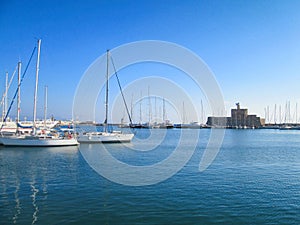 Small sailboats docked