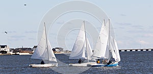 Small sailboats in the great south bay in the winter