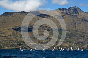 Small sailboats racing across Lake Wakatipu