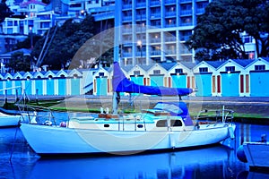 Small sailing boat moored in Wellington marina in front of row of colourful barns
