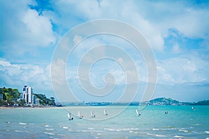 Small sailing boats scattered over calm waters of Kohimarama Bay