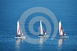Small sailing boats in the sea