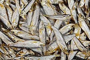 Small salted dried fish texture background