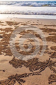 Small sand balls made by wind crabs after hole digging on beach