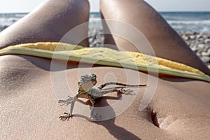 Small saurian on the human body - like a dinosaur on the vacation at sea photo