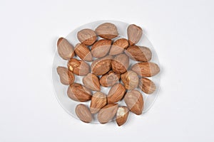 Pile of Hazelnuts