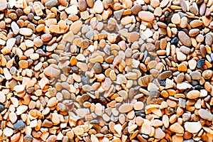 Small sea pebble background