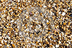 Small sea pebble sand background