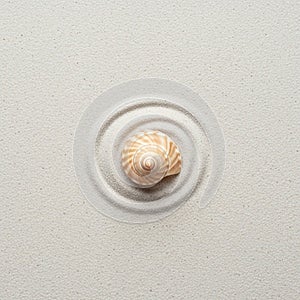 A small seashell with a spiral pattern is centered on fine, light-colored sand. The sand
