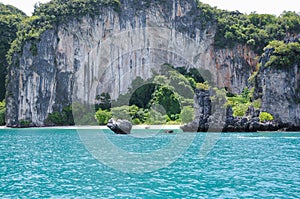 The Small, Secluded Beach of the Trees Covered Island