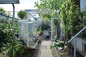 a small semi-urban garden in springtime