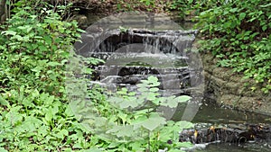 Small Serene Creek Waterfalls in the Woods - Peace