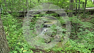 Small serene creek waterfalls in the woods - peace
