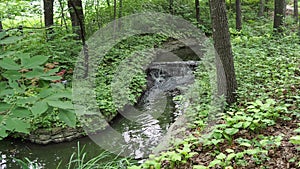 Small serene creek waterfalls in the woods - peace