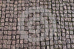 Small setts with moss in joints