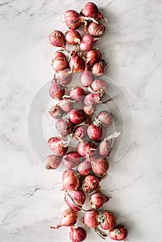 small shallots on a light background