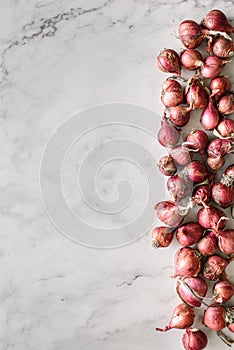 small shallots on a light background