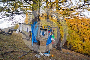 A small shamanic altar in the forest near Lake Khuvsgul