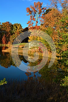 The small shed in the mountains sits next to a beautiful pond