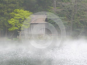 Small Shinto Shrine in Kyushu