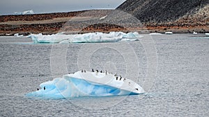 Small shiny iceberg, roosting place for Adelie penguins, in front of Paulet Island, Antarctica.