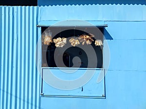 Small shop selling crackers with light blue minimalist wall