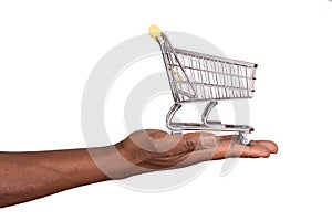 Small shopping cart on a hand