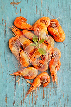 Small shrimp (crustaceans)