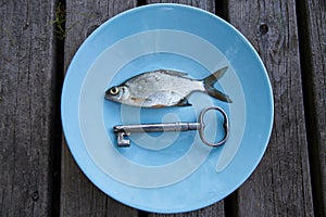 Small silver fish on a plate with antique key