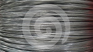 Small silver wire Rams placed transversely