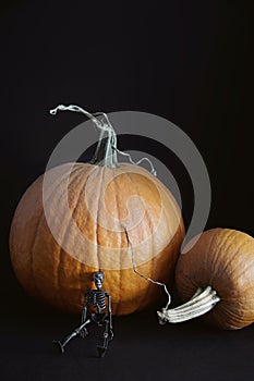 Small skeleton with pumpkins on black