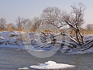 Small small river in the winter