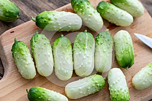 Small snack cocktail Dutch cucumbers Quirk variety on wooden background, selective focus