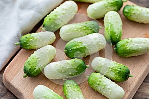 Small snack cocktail Dutch cucumbers Quirk variety on wooden background, selective focus