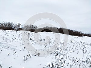 Small snow rise, with sleeping bushes