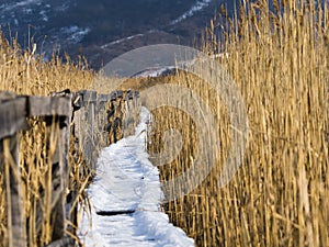 Reed access road covered with snow and ice.