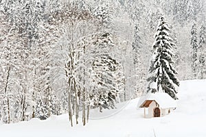 Small Snowy Alpine Chapel in the Forest I